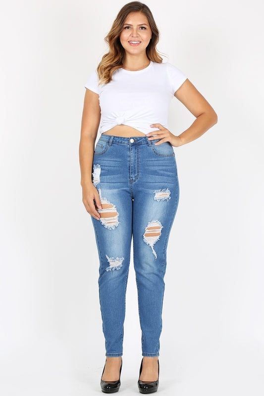 Plus Size High Waist Ripped Skinny Jeans JBBA-813