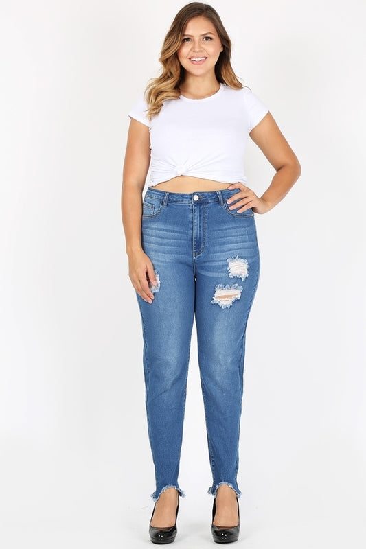 Plus Size High Waist Ripped Skinny Jeans JBBA-820